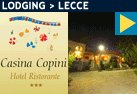 Hotel Casina Copini