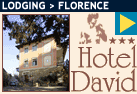 Hotel David