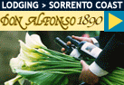 Don Alfonso 1890