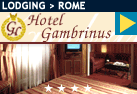 Hotel Gambrinus